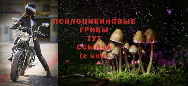 прущий лед Каменногорск