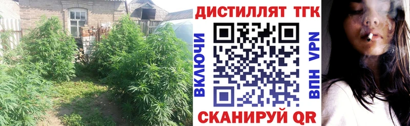 Дистиллят ТГК Wax Бердск