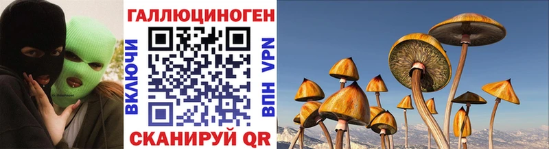 Купить закладки  Бердск  Псилоцибиновые грибы мухоморы 