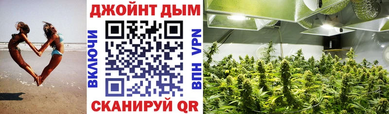 Купить где  Бердск  Конопля White Widow 
